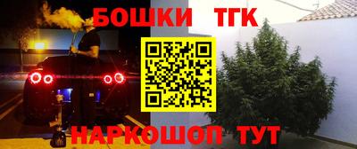 таблы Новозыбков